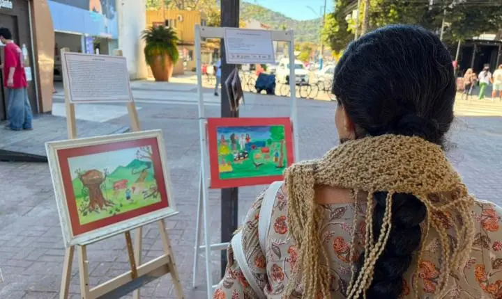 Encontrão de Boi de Mamão reuniu grupos e celebrou o folclore em Balneário Camboriú