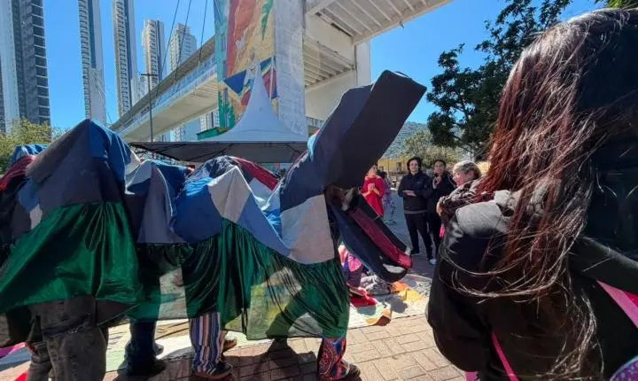 Encontrão de Boi de Mamão reuniu grupos e celebrou o folclore em Balneário Camboriú