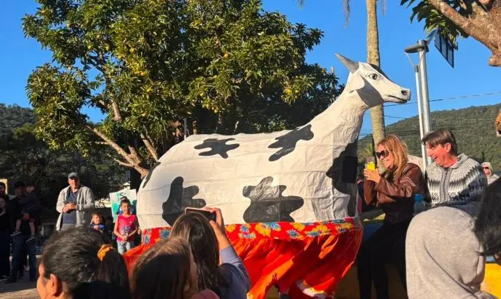 Encontrão de Boi de Mamão reuniu grupos e celebrou o folclore em Balneário Camboriú
