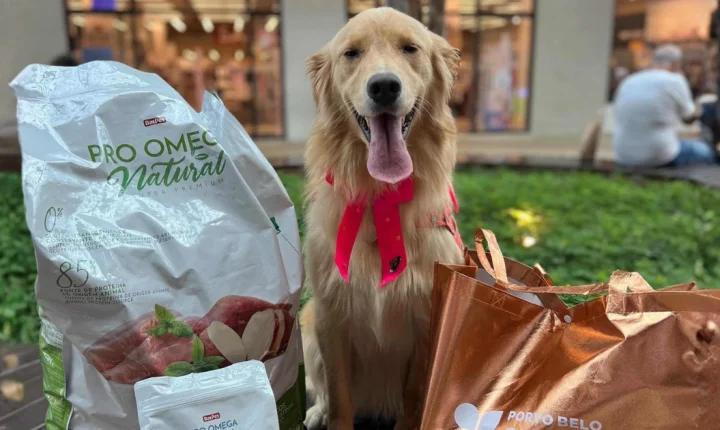 Encontro de cães Golden Retrievers irá movimentar o Porto Belo Outlet neste sábado