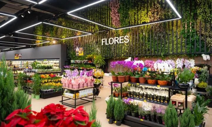Flores, oficinas e novidades: 9ª Expo Flores Bistek celebra a chegada da Primavera
