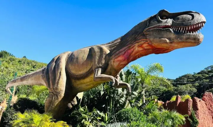 Fóssil de dinossauro que será devolvido ao Brasil tem réplica em parque de Santa Catarina