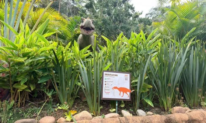 Fóssil de dinossauro que será devolvido ao Brasil tem réplica em parque de Santa Catarina