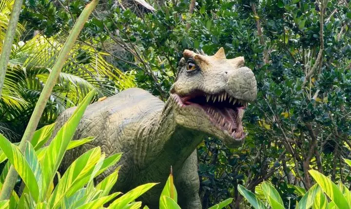 Fóssil de dinossauro que será devolvido ao Brasil tem réplica em parque de Santa Catarina