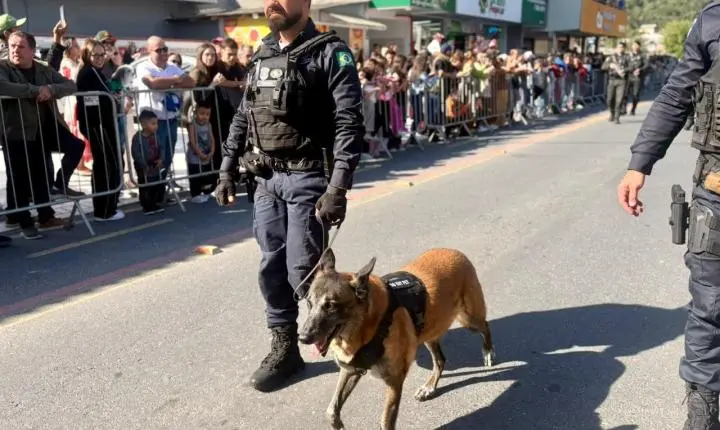 Guarda Municipal homenageia K9 aposentado durante Desfile Cívico em Balneário Camboriú