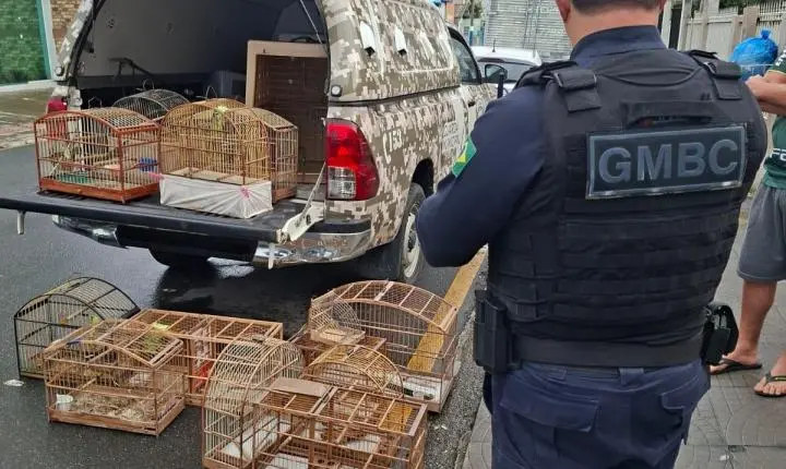 Homem é preso pela Guarda Municipal de Balneário Camboriú mantendo pássaros silvestres em cativeiro 