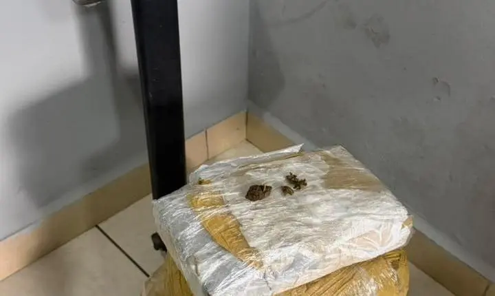 Homem é preso pela Guarda Municipal de Balneário Camboriú na rodoviária com 7kg de skunk