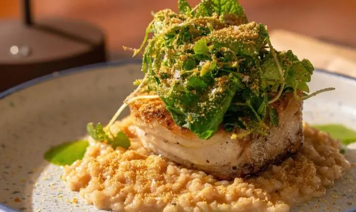 Marina Itajaí recebe 2ª edição de festival gastronômico com menus exclusivos por R$ 119