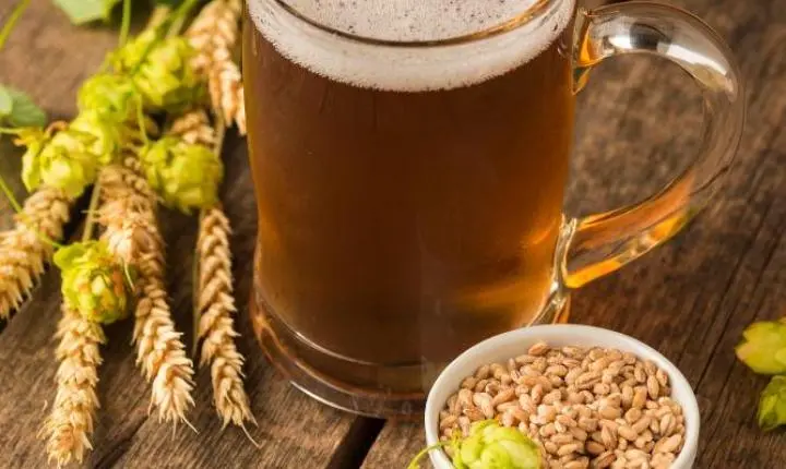 MÉDICO, E EX-HOMEBREWER, FALA SOBRE OS BENEFÍCIOS DA CERVEJA E OS CUIDADOS COM O EXCESSO DA BEBIDA