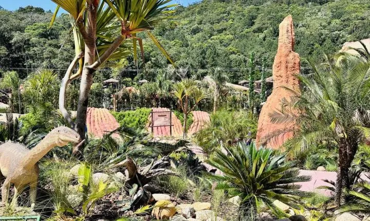 Museus, aquários e atrações interativas ganham espaço como extensão da sala de aula