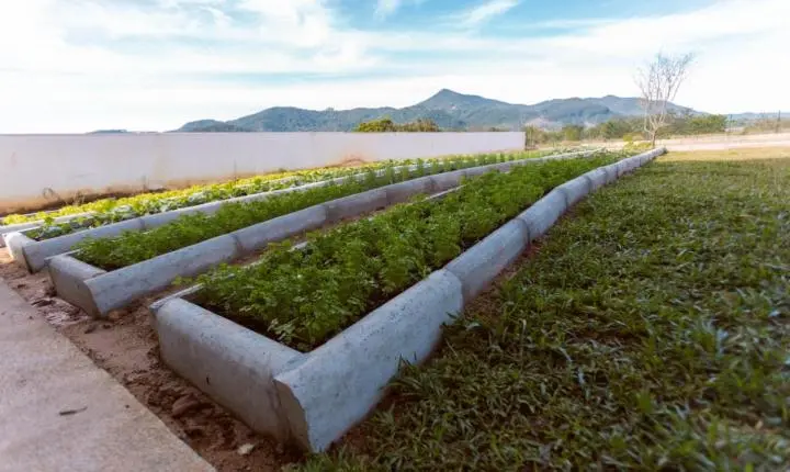 Novos parquinhos, áreas verdes e materiais fortalecem Educação Infantil de Camboriú