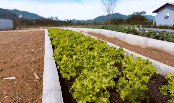 Novos parquinhos, áreas verdes e materiais fortalecem Educação Infantil de Camboriú