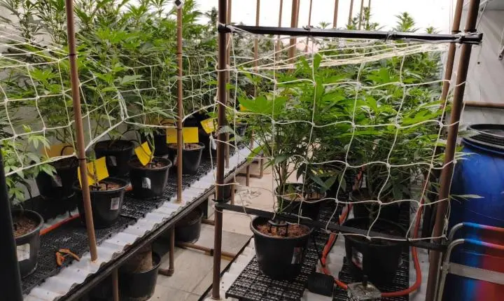 Polícia Militar prende homens por tráfico de drogas