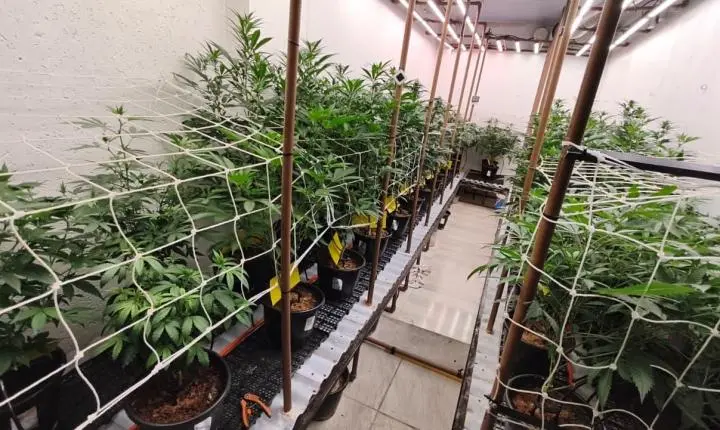 Polícia Militar prende homens por tráfico de drogas