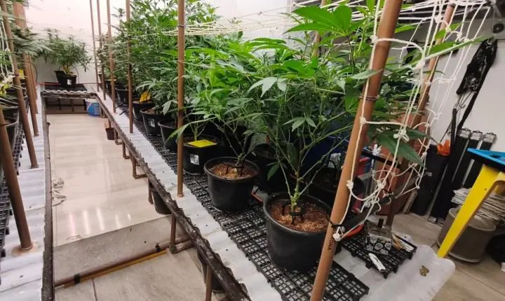 Polícia Militar prende homens por tráfico de drogas
