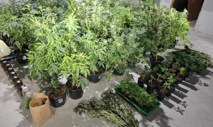 Polícia Militar prende homens por tráfico de drogas