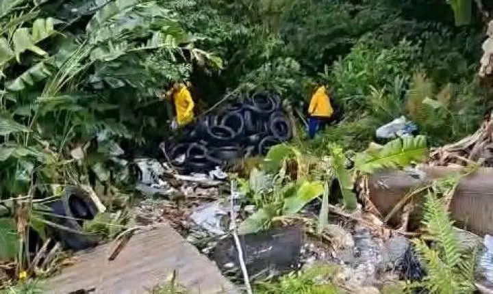 Prefeitura de Balneário Camboriú recolhe pneus descartados em área de preservação 