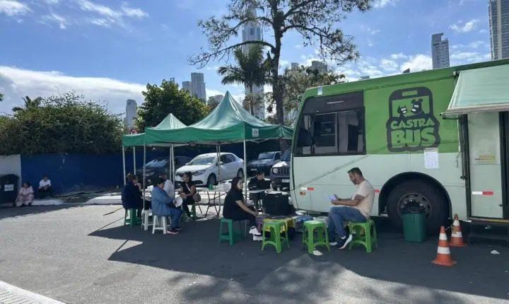 Programa Castra Pet atendeu 80 animais gratuitamente nesta quinta-feira