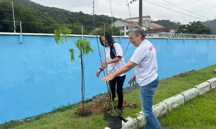Projeto Floresta de Bolso promove plantio de árvores em Balneário Camboriú
