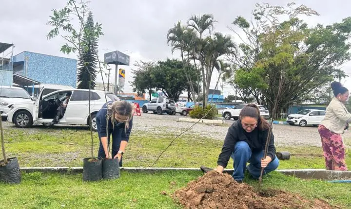 Projeto Floresta de Bolso promove plantio de árvores em Balneário Camboriú