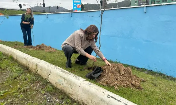 Projeto Floresta de Bolso promove plantio de árvores em Balneário Camboriú