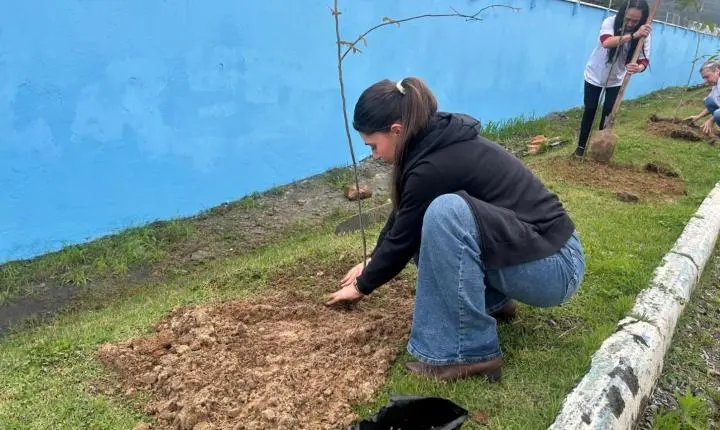 Projeto Floresta de Bolso promove plantio de árvores em Balneário Camboriú