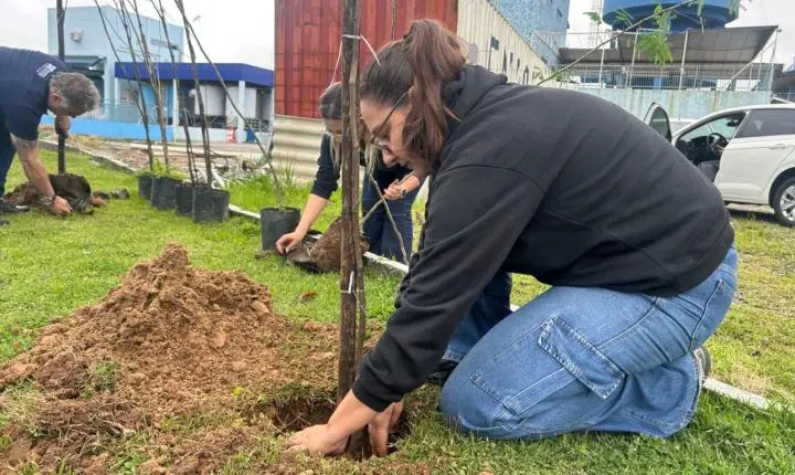 Projeto Floresta de Bolso promove plantio de árvores em Balneário Camboriú