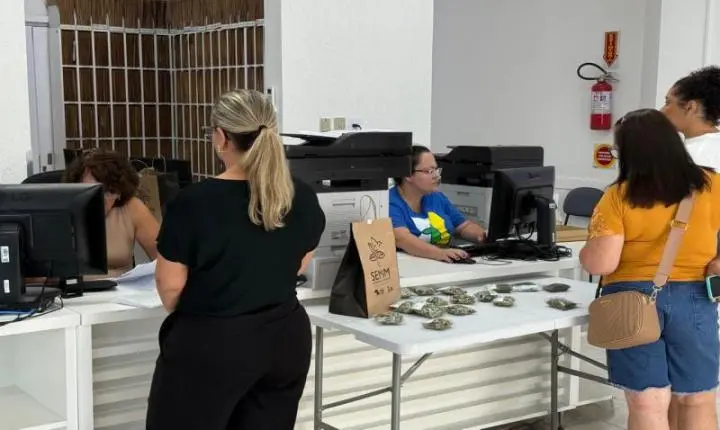 Saúde de Balneário Camboriú promove mutirão de consultas e exames especializados neste sábado